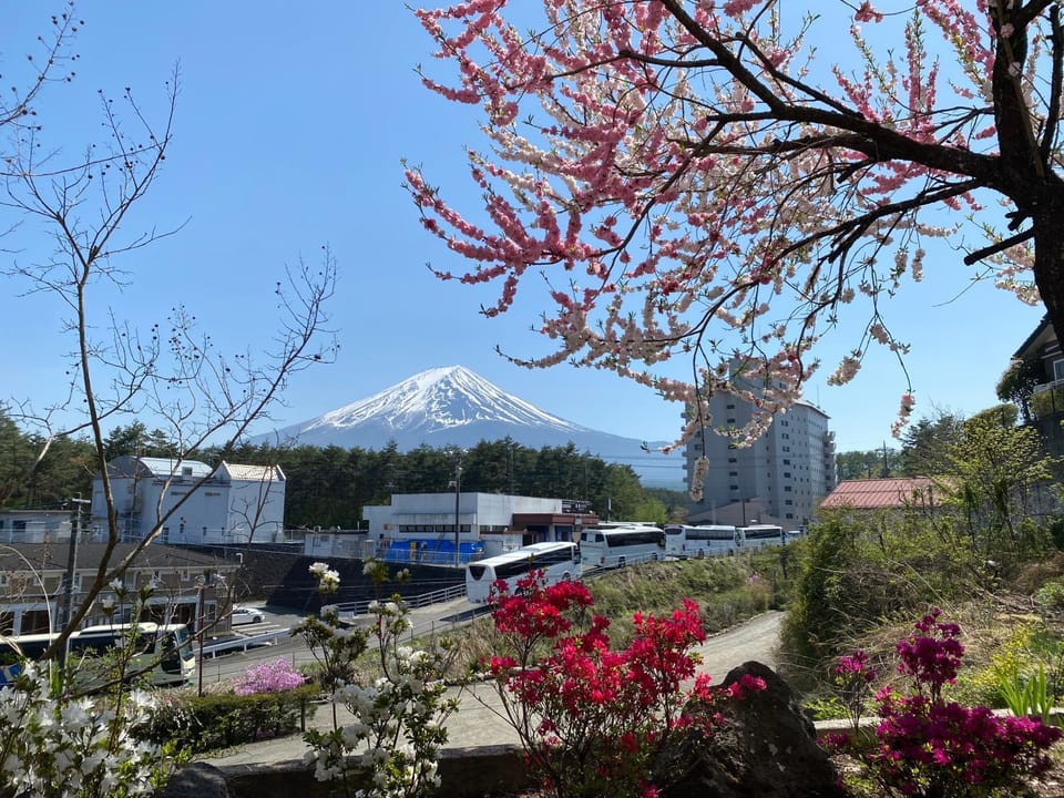 サザンヒルズガーデン Apartment in Shizuoka Prefecture