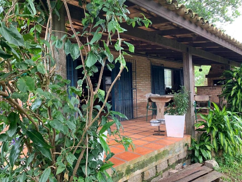 Patio, Garden
