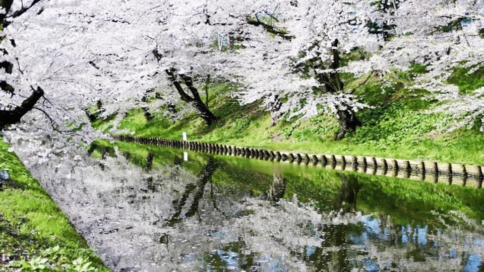 Spring, Day, Natural landscape, River view