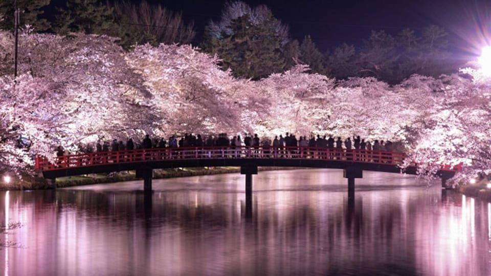 Nearby landmark, Spring, Night, Natural landscape, River view