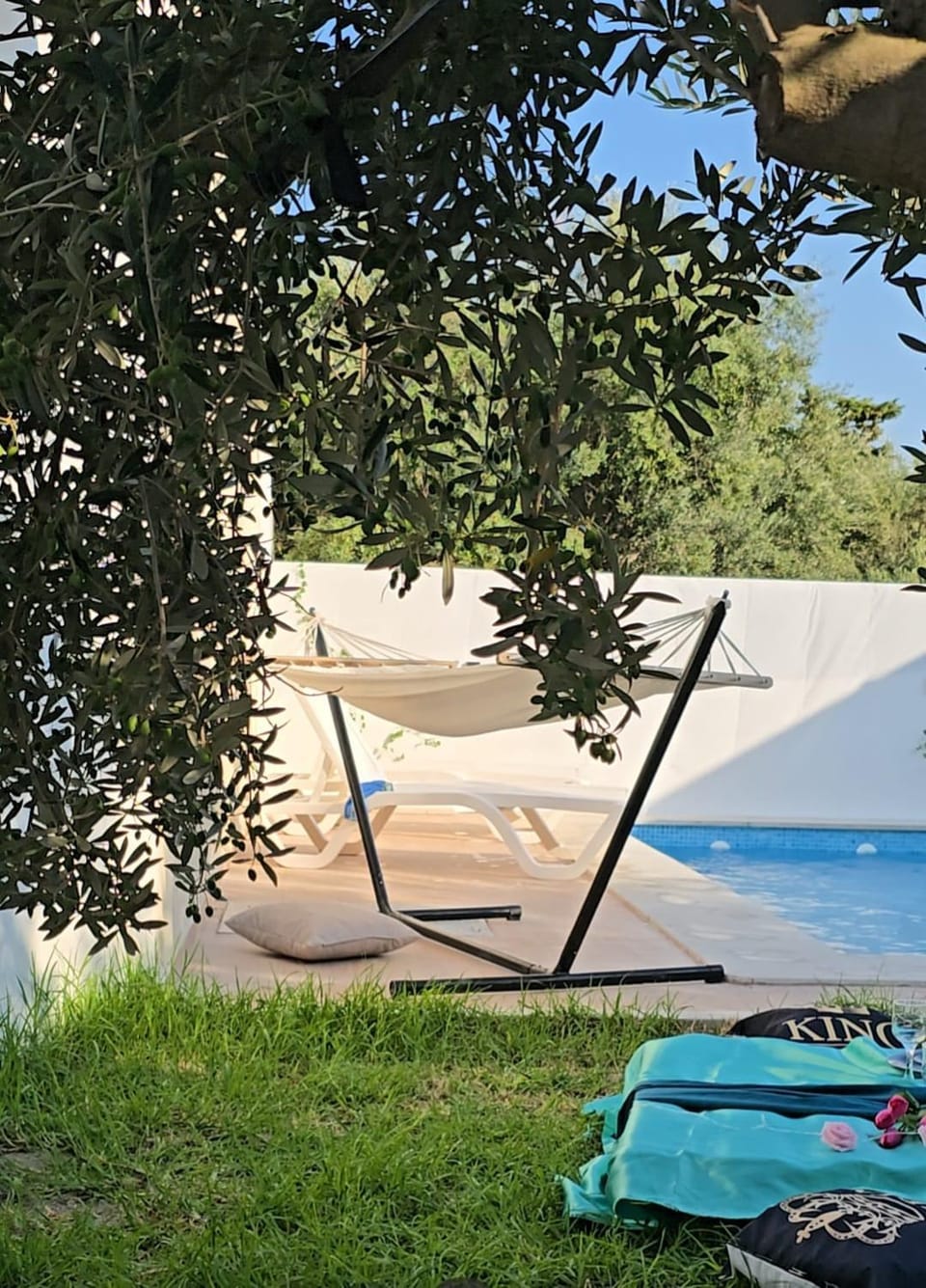 Garden, Garden view, Pool view, Swimming pool, sunbed