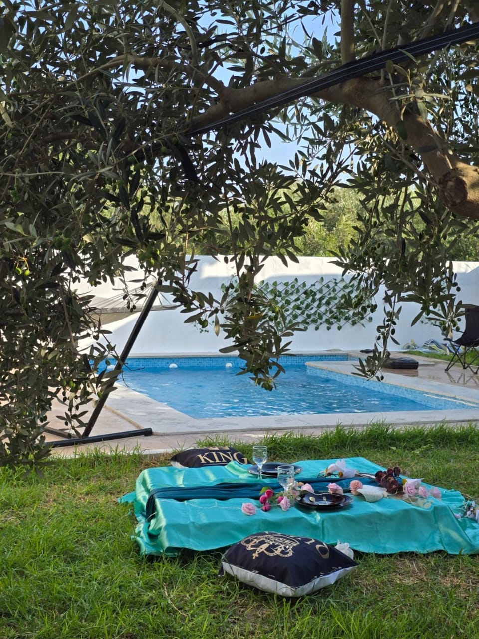 Natural landscape, Garden, Garden, Garden view, Pool view, Swimming pool, sunbed