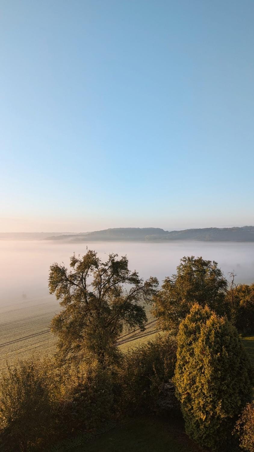 Natural landscape