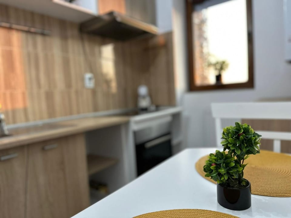 Studio Mamaia Nord Apartment in Constanța County