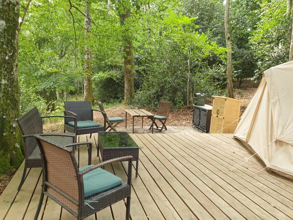 Patio, Natural landscape, Dining area