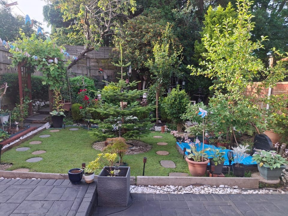 Garden view
