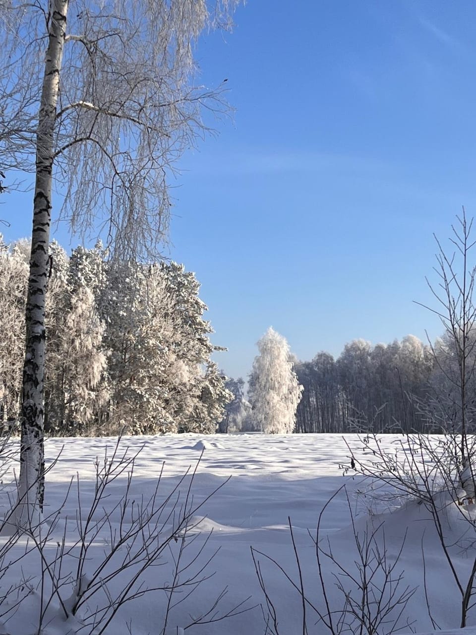 Natural landscape, Winter