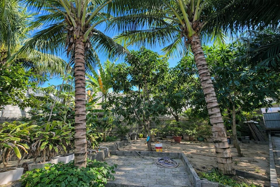 Spring, Day, Natural landscape, Garden, Garden view
