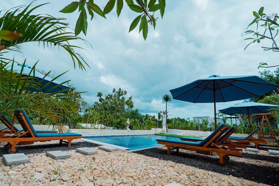 Garden, Garden view, Pool view, Swimming pool, sunbed