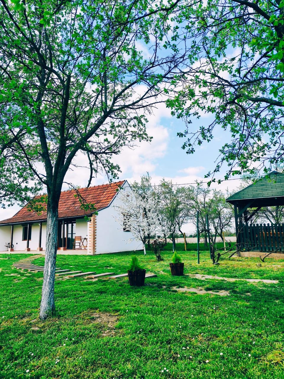 Ruralna kuća za odmor Bor Anya House in Croatia
