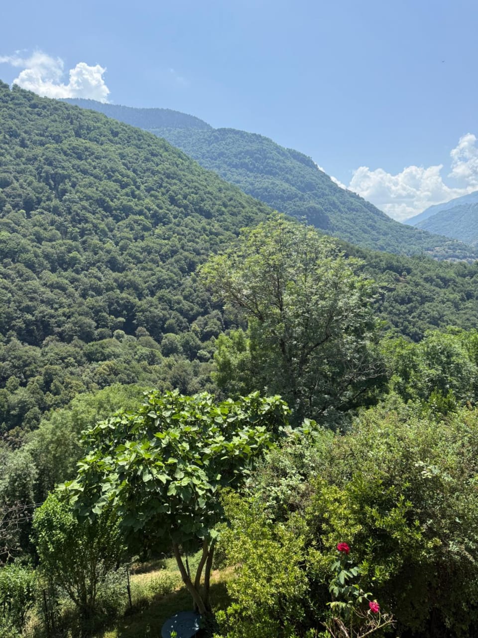 Day, Natural landscape, Mountain view
