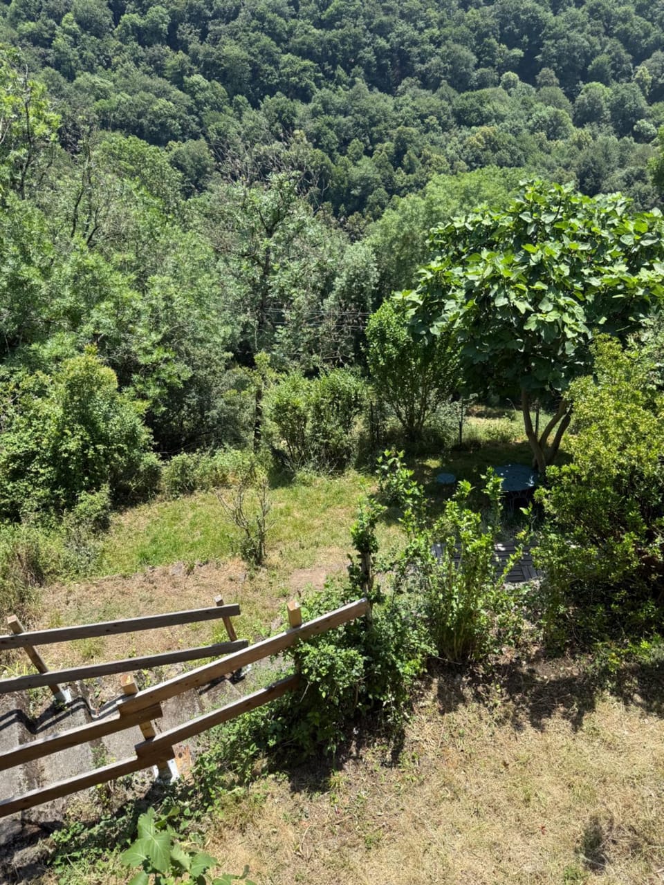 Day, Natural landscape