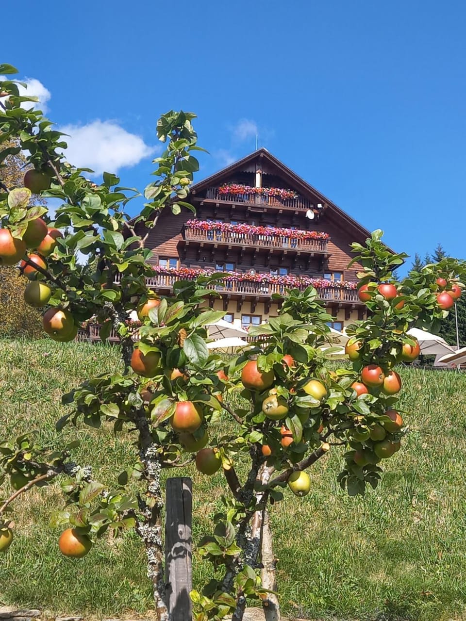 Hotel Alpská vyhlídka Hotel in South Bohemian Region