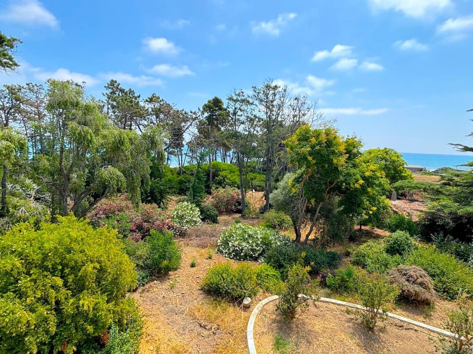 Spring, Day, Natural landscape, Garden, Garden view, Sea view