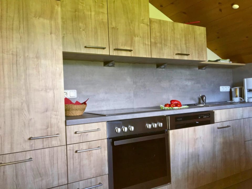 Kitchen or kitchenette, kitchen