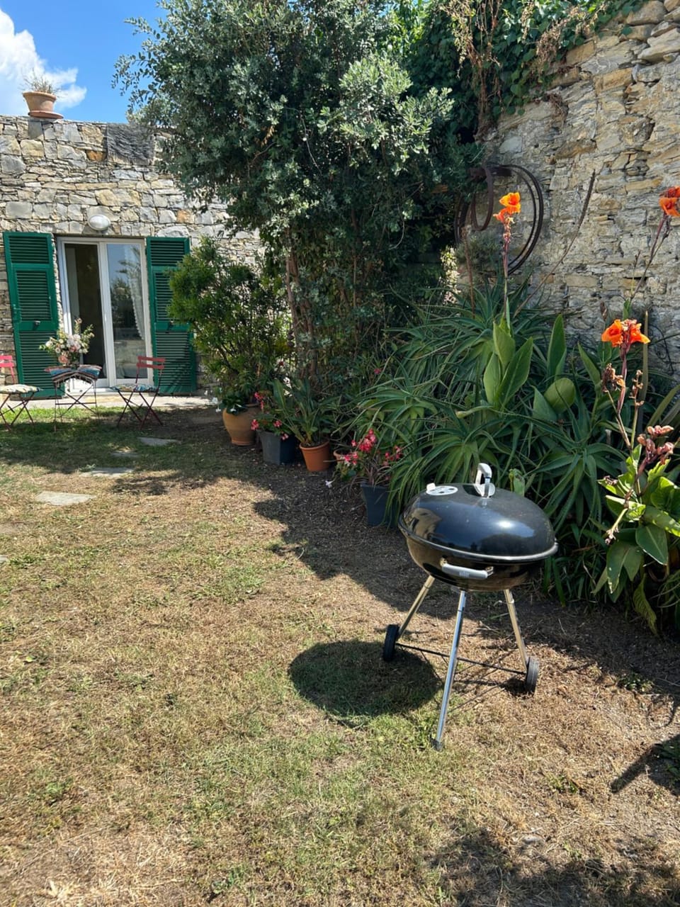 Spring, Day, Garden, Garden view