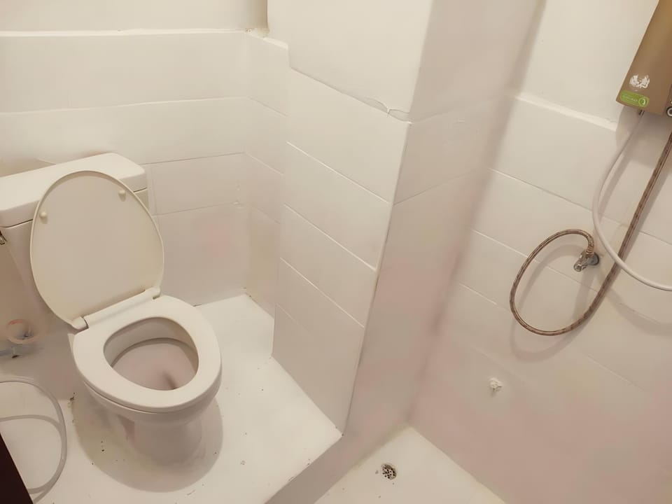 Shower, Toilet, Bathroom, bidet