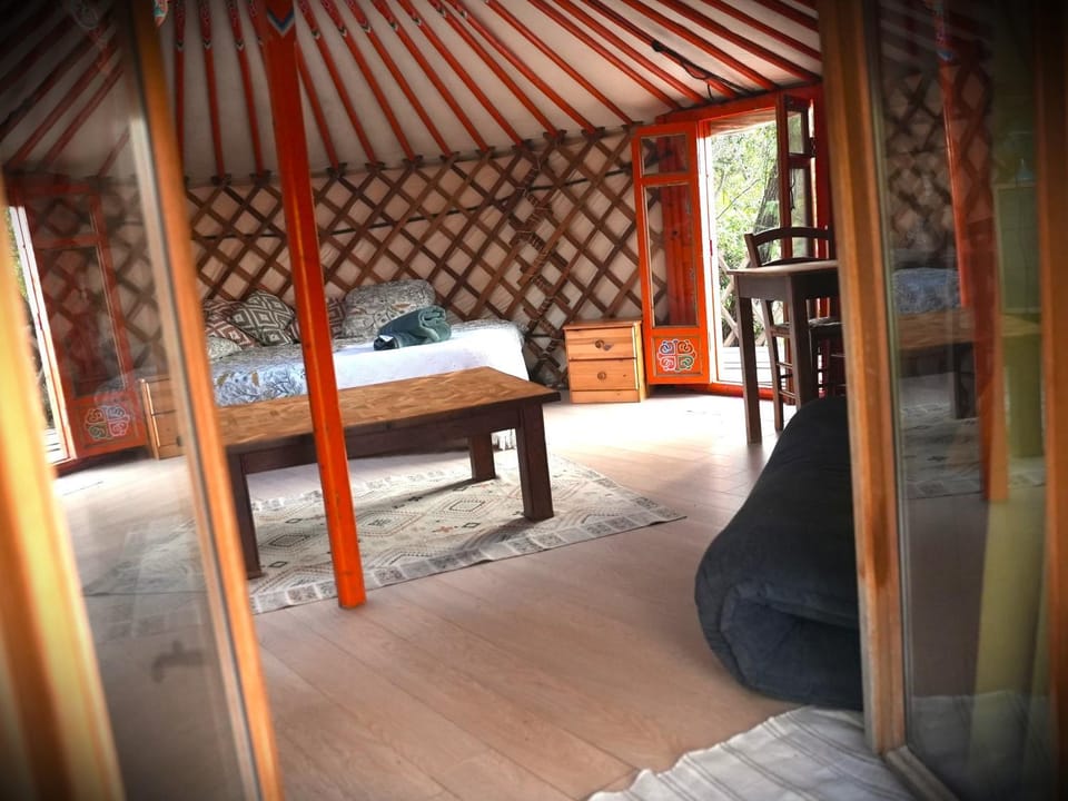 Bed, Living room, Photo of the whole room, Bedroom