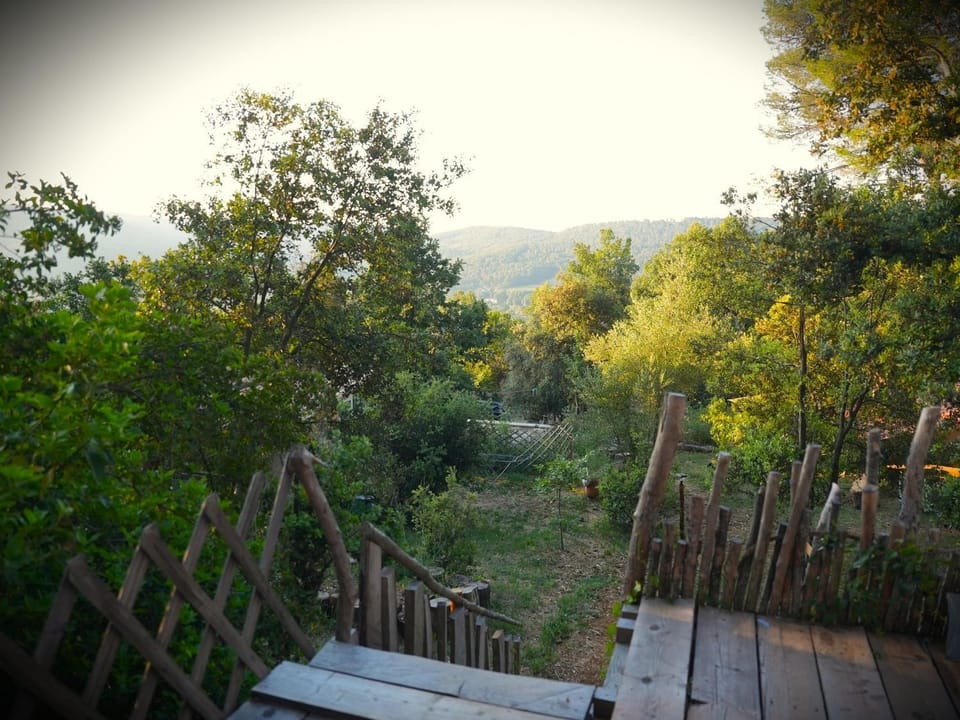 Spring, Day, Natural landscape, Garden, Garden view