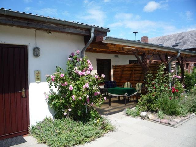 Property building, Garden view