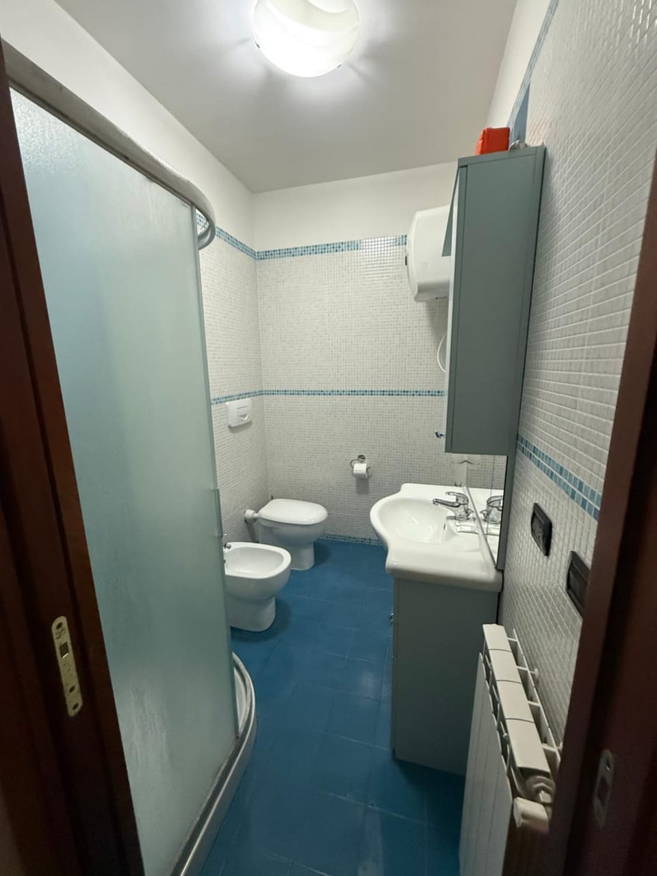 Shower, Toilet, Bathroom, bidet