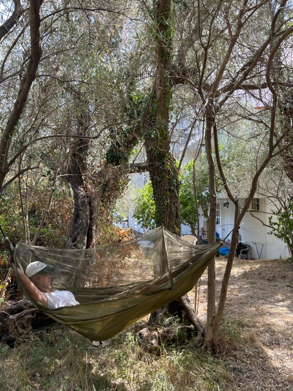 Aparments in the olives Apartment in Budva Municipality