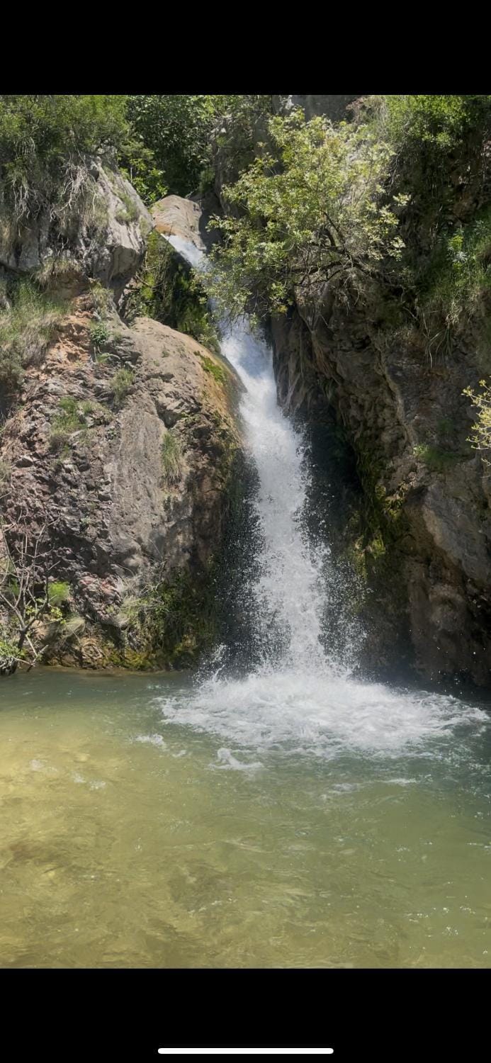 Aparments in the olives Apartment in Budva Municipality