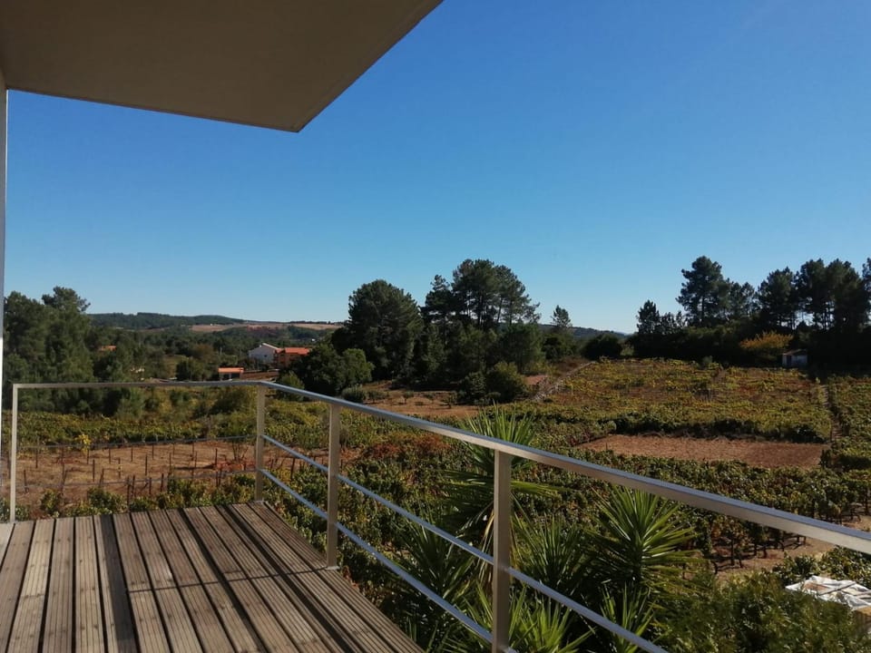 Single House House in Vila Real