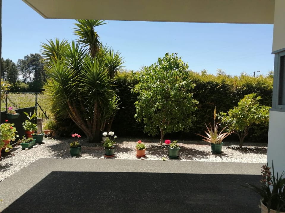 Single House House in Vila Real