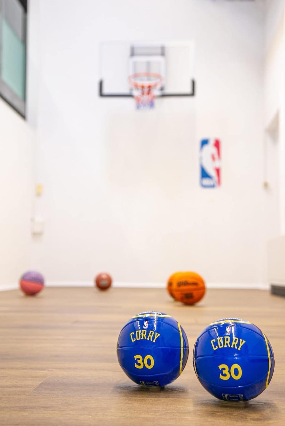 Casino Whirlpool-Sauna-Kino-Indoor Basketball House in Rhineland-Palatinate
