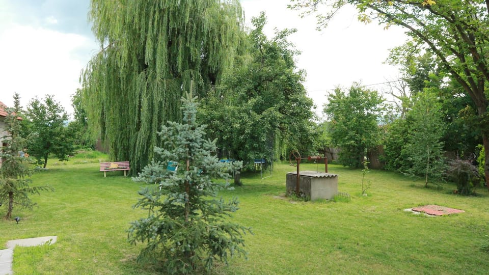 Home Tara House in Serbia
