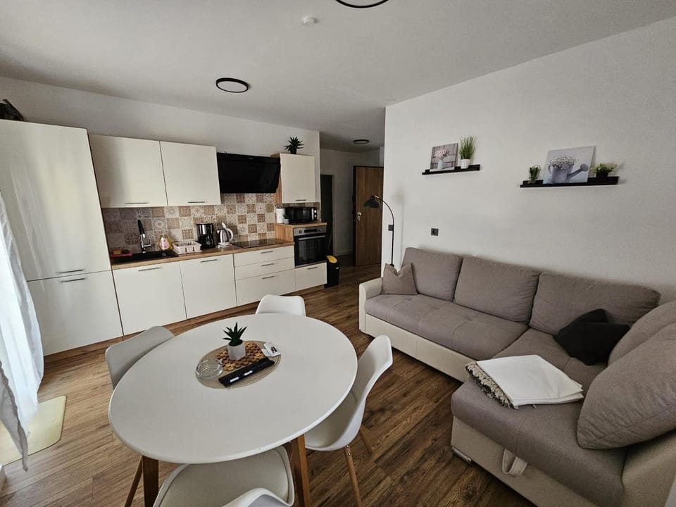 Kitchen or kitchenette, Living room, Seating area, Dining area, oven