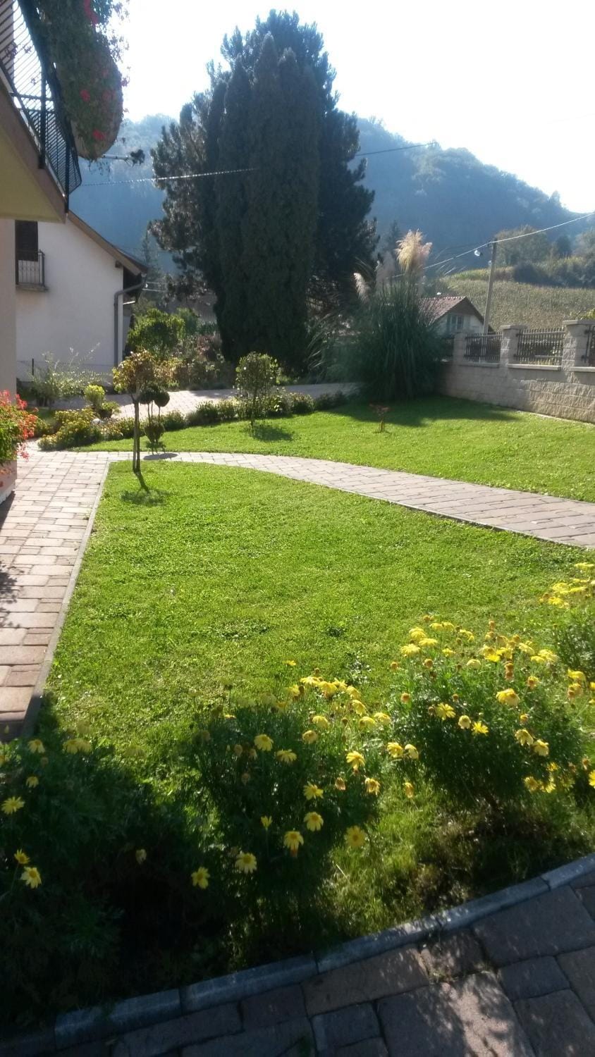Property building, Spring, Day, Garden