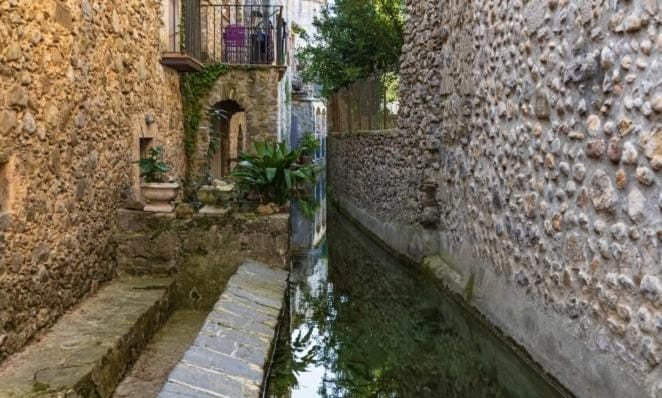 La Sabonnera Apartment in Alt Empordà