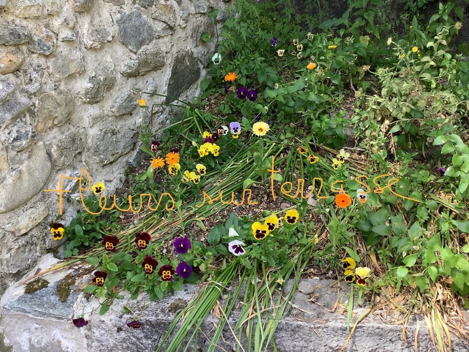 Garden, Garden