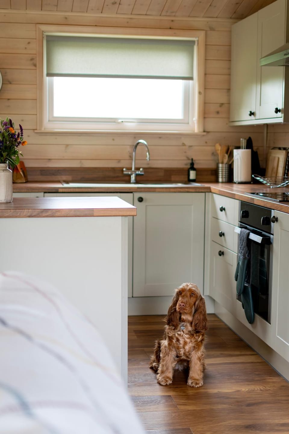 Kitchen or kitchenette, dishwasher