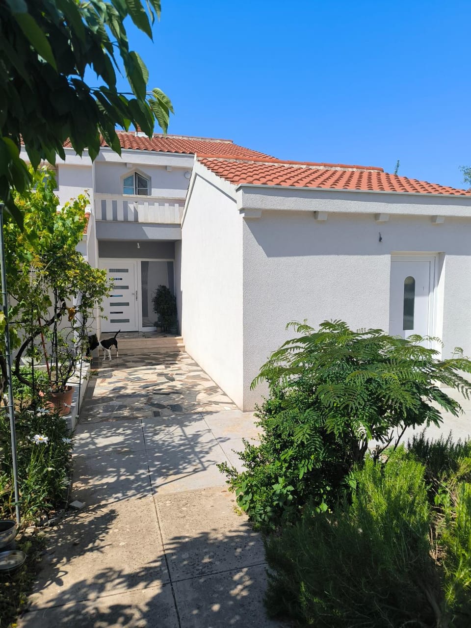 Mediterraneo Apartment in Zadar
