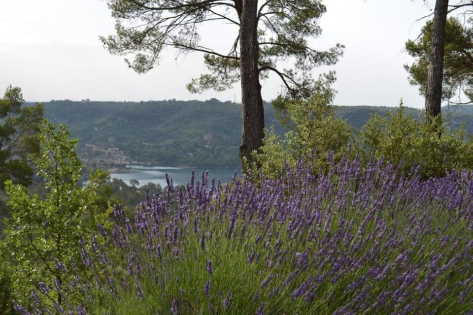 Natural landscape, Lake view