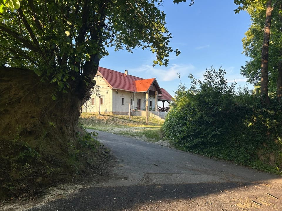 Property building, Day, Natural landscape, Street view
