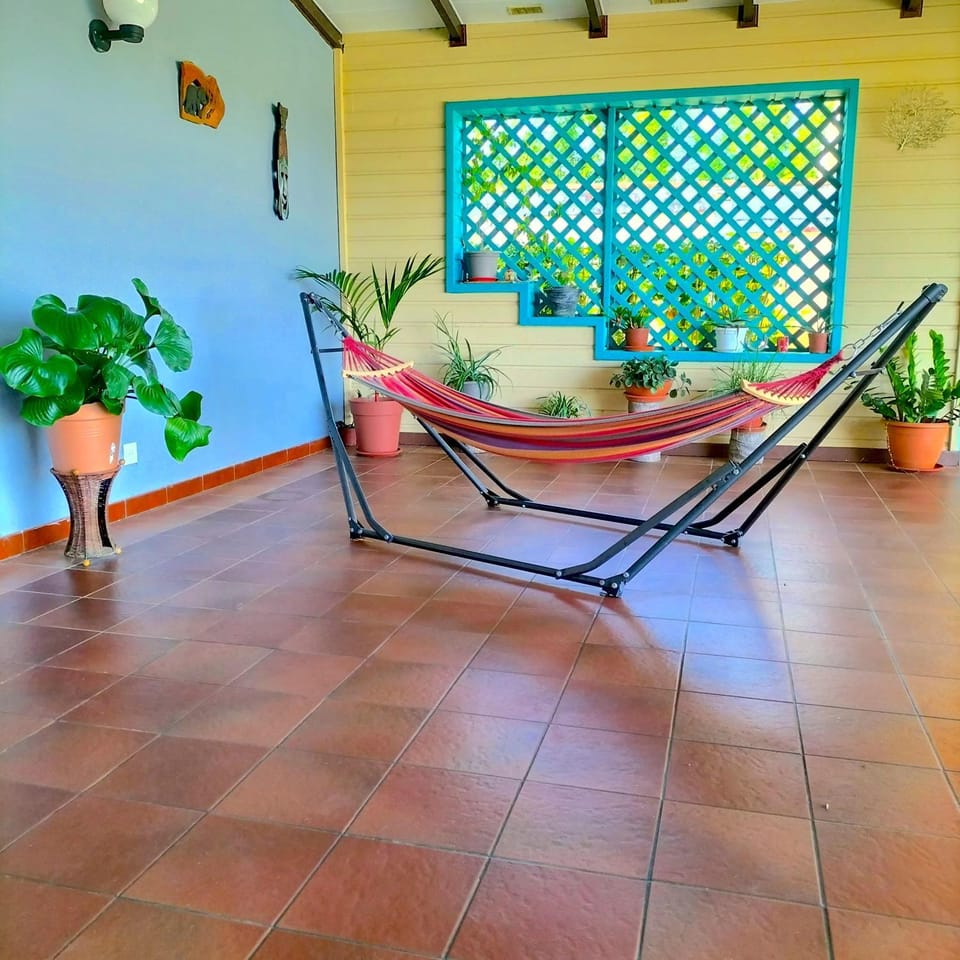 Patio, Balcony/Terrace, sunbed