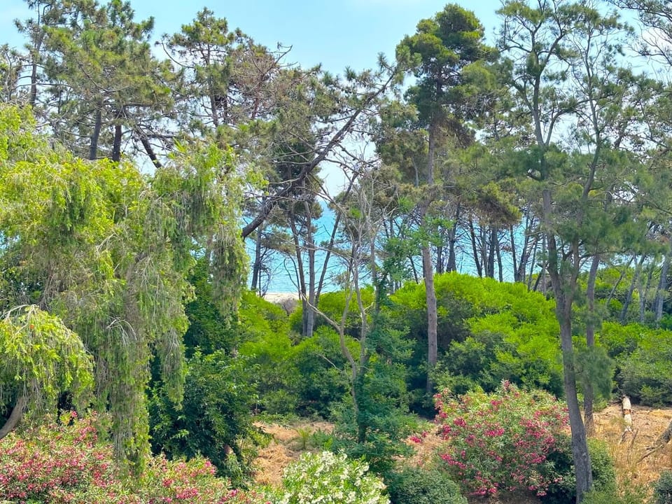 Day, Natural landscape, Garden view, Sea view