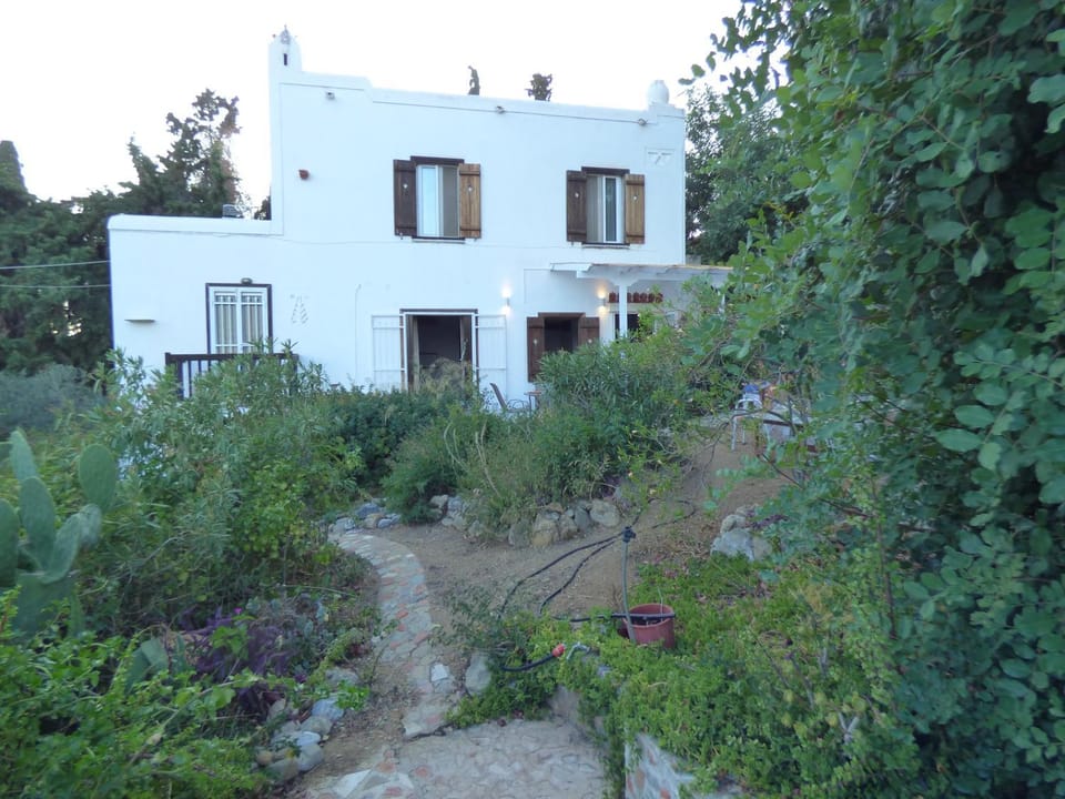 Property building, Garden, Garden view