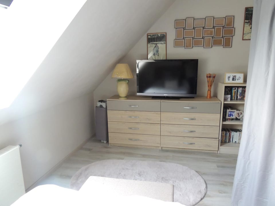 TV and multimedia