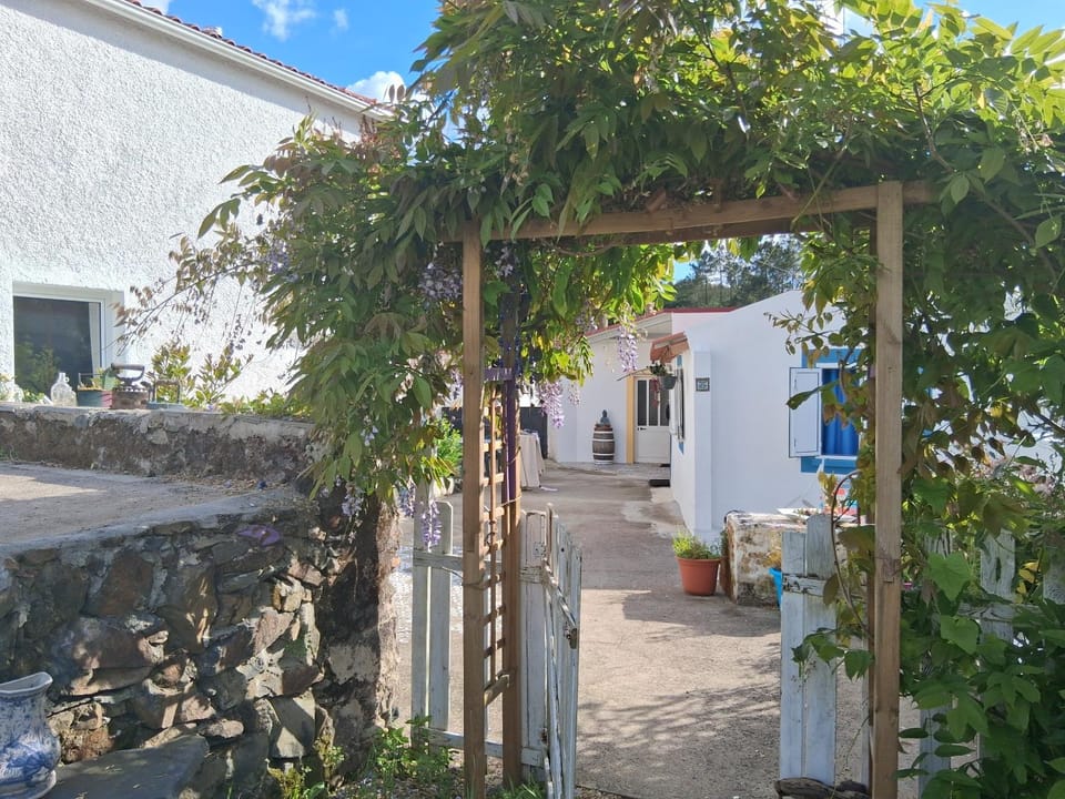 Property building, Garden view