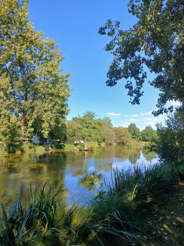 Lake view