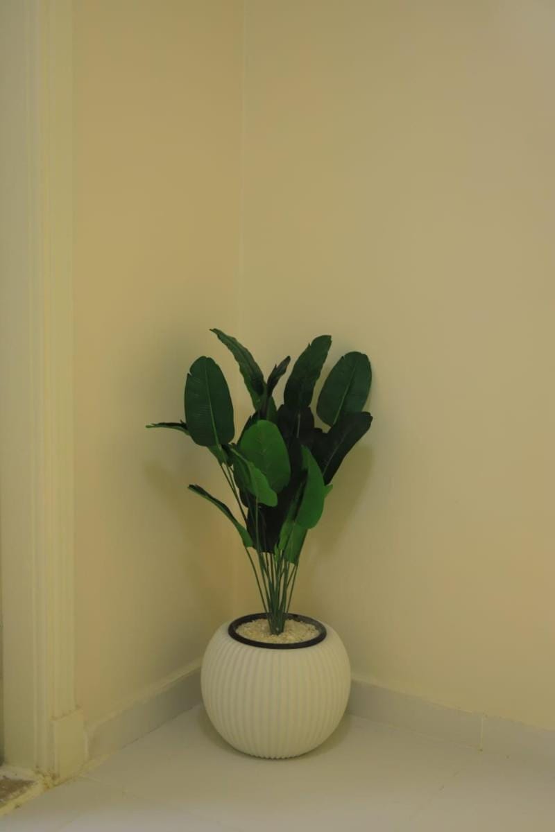 New Capital Apartment in Cairo Governorate