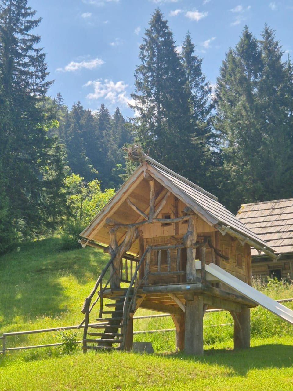Natural landscape, Garden, Garden view