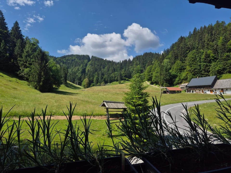 Natural landscape