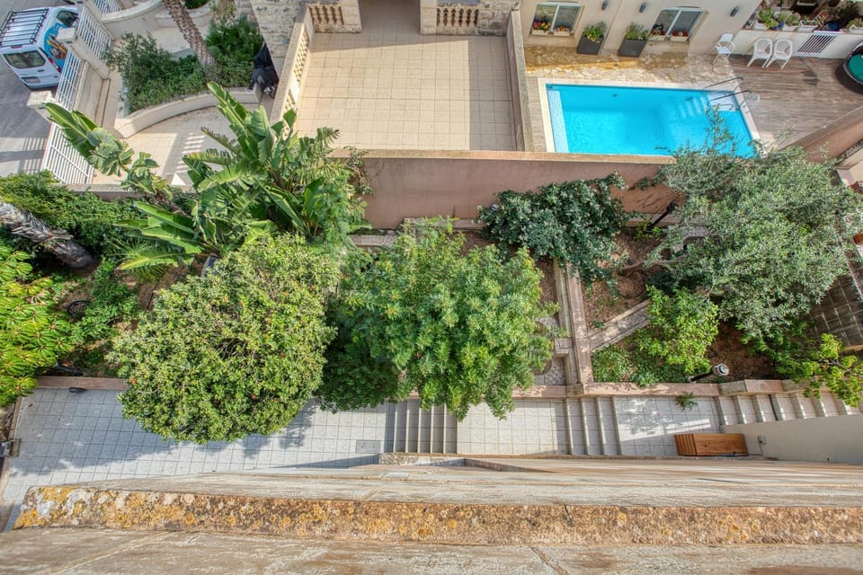 Spring, Day, Garden, Garden view, Pool view, Swimming pool