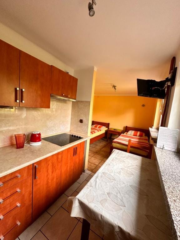 Noclegi Fikusówka Apartment in Czechia